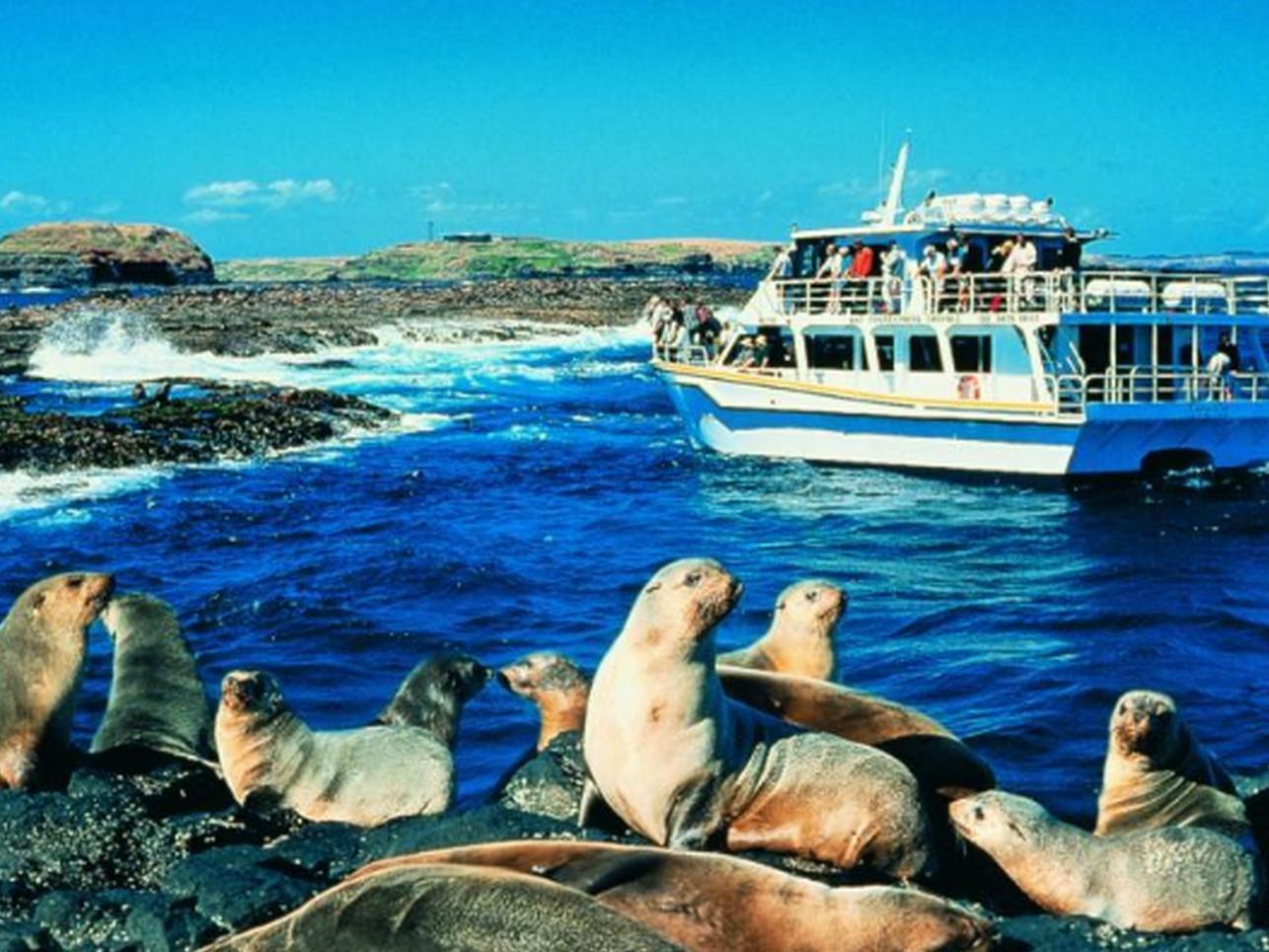 Phillip Island Cottages Cowes Luaran gambar